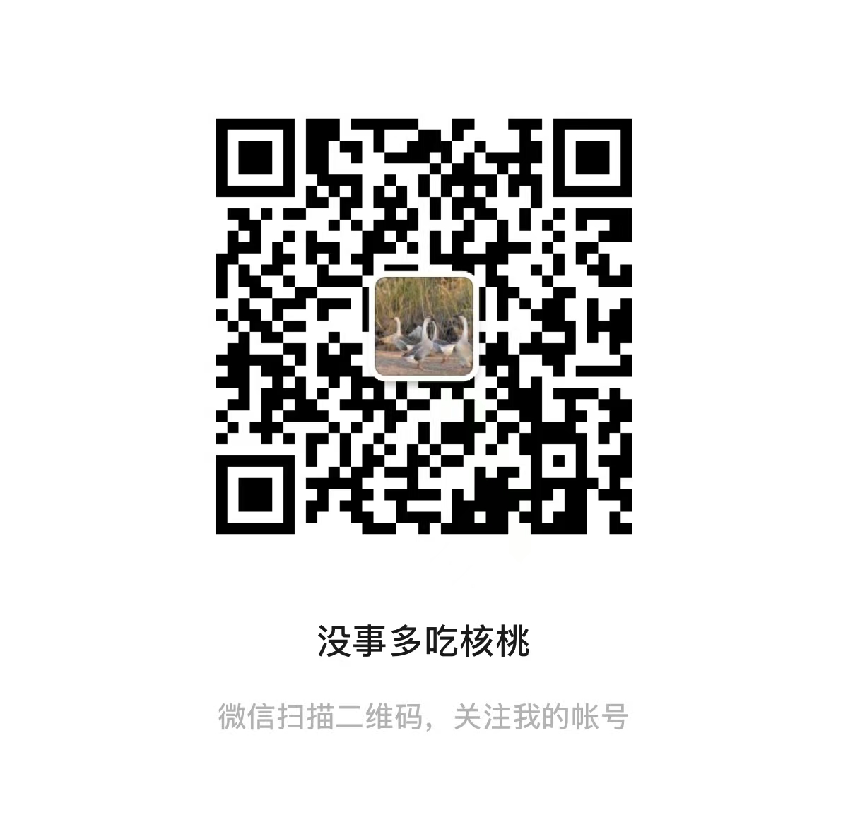 QR code for the WeChat public account 没事多吃核桃